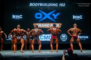 BODYBUILDING 102